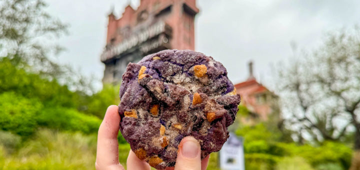 Tower of Terror Cookie