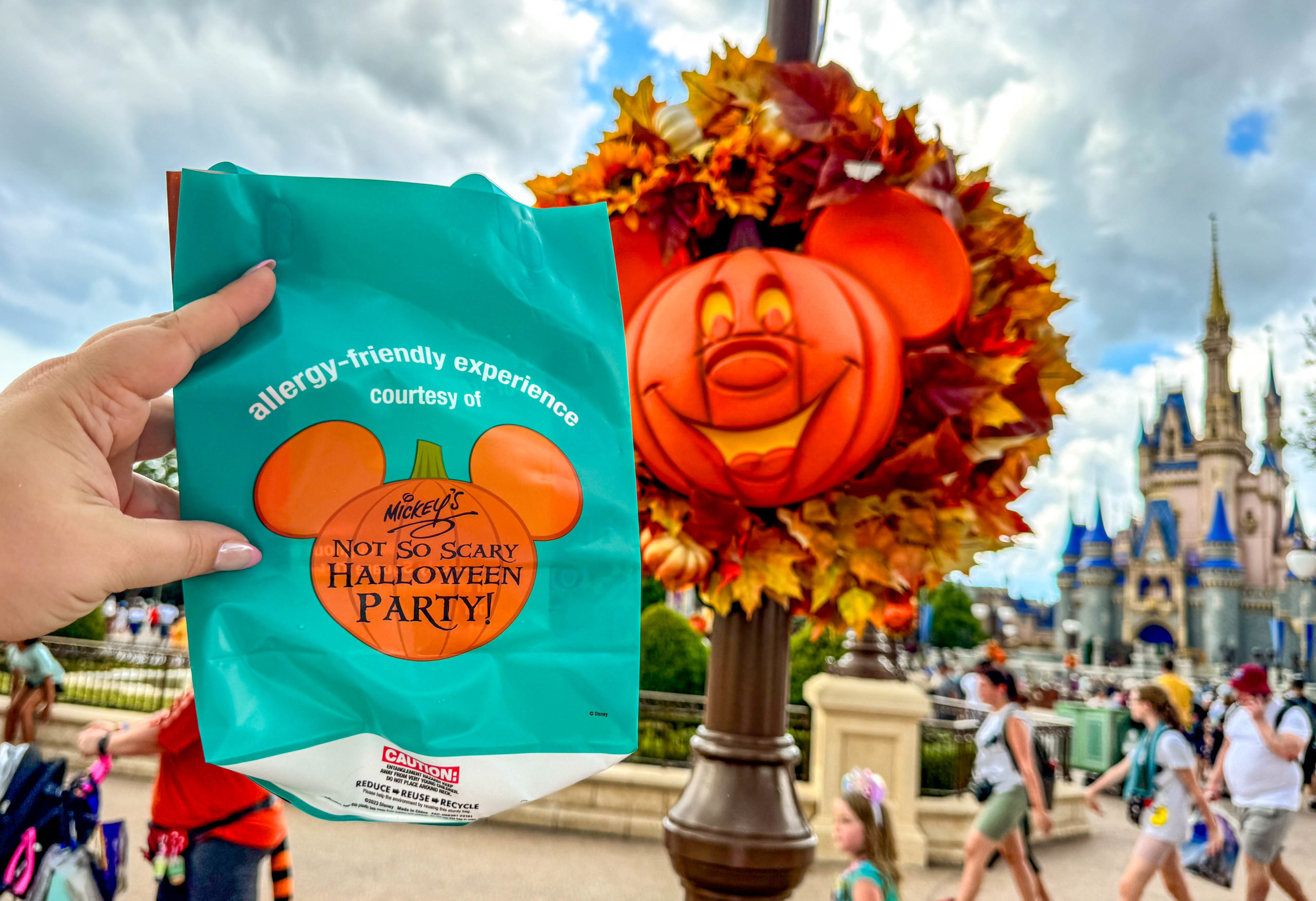 Allergy-friendly Trick-or-Treat Bag