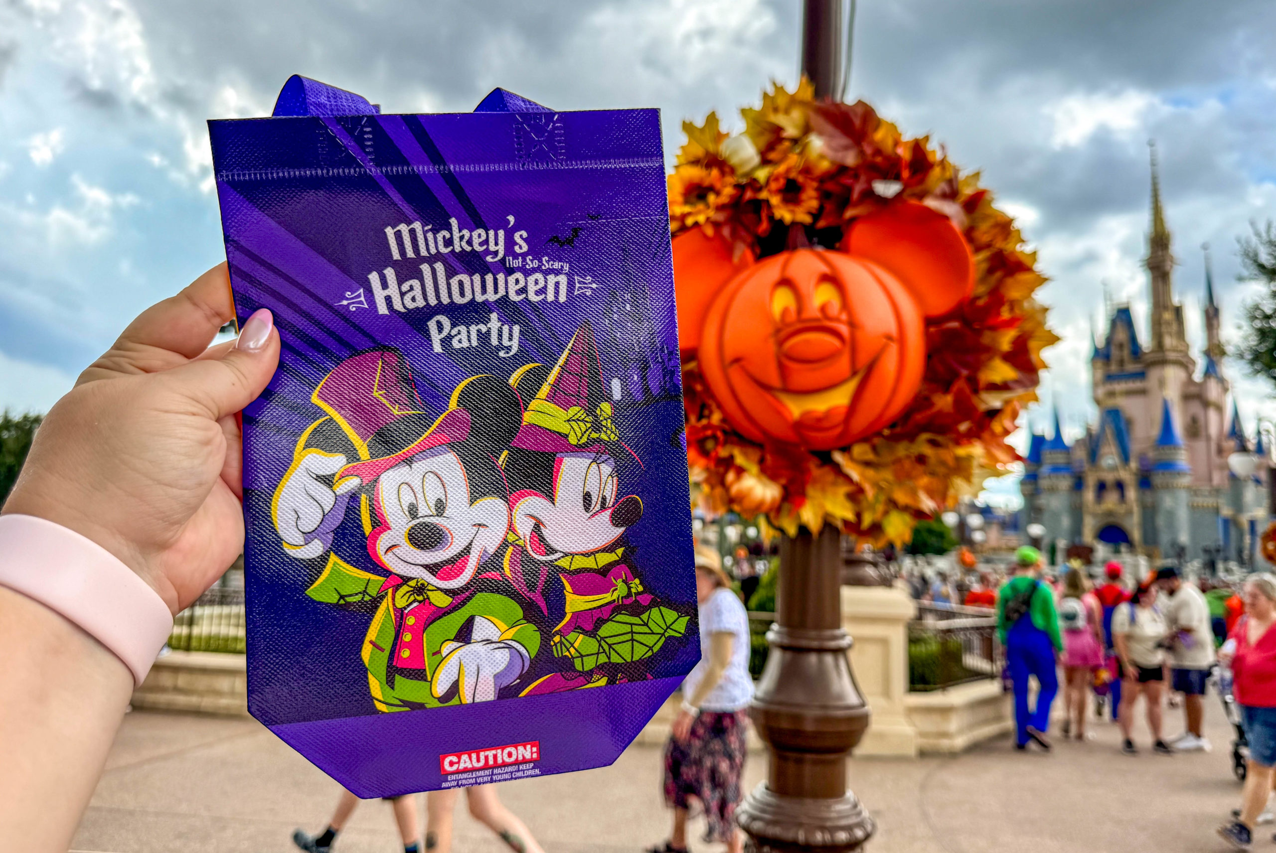 Trick-or-Treat Bag