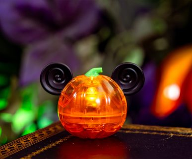 Mickey Disneyland glow cube